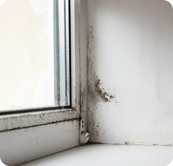 Tratamento de condensações e humidades